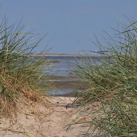 Landskron * Schillig